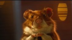 Capture-d’écran-2024-12-09-160218-236x132