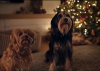 Capture-d’écran-2024-12-12-100931-201x142