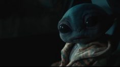 Capture-décran-2025-01-31-095341-236x132