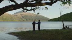 Capture-d’écran-2025-01-30-171422-236x132