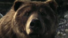 Capture-décran-2025-02-21-121845-236x132