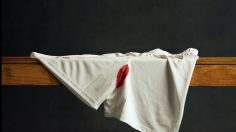 Capture-décran-2025-02-26-145125-236x132