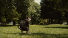 Capture-décran-2025-03-25-165311-236x132