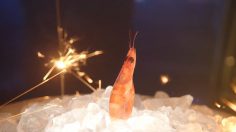 Capture-décran-2025-04-22-112638-236x132