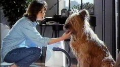 Capture-décran-2025-04-30-174441-236x132