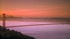 Capture-décran-2025-05-20-105817-236x132