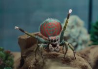 Capture-décran-2025-08-29-113453-201x142