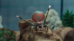 Capture-décran-2025-08-29-113453-236x132