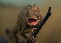 Capture-décran-2025-09-05-112214-201x142