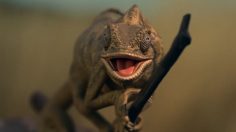 Capture-décran-2025-09-05-112214-236x132