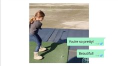 Capture-décran-2025-10-14-125049-236x132