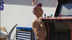 Capture-d’écran-2025-10-15-160354-236x132