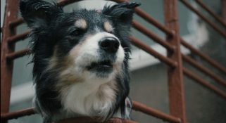 Capture-d’écran-2025-10-23-173726-321x175