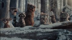 Capture-décran-2025-12-02-123942-236x132