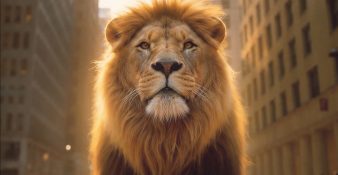 Capture-décran-2025-12-16-154152-338x175