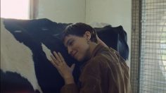 Capture-décran-2026-01-16-174200-236x132