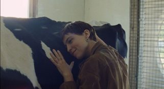 Capture-décran-2026-01-16-174200-321x175