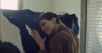 Capture-décran-2026-01-16-174200-338x175