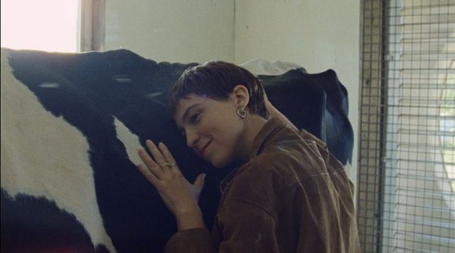 Capture-décran-2026-01-16-174200-658x366