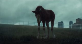 Capture-décran-2026-01-28-154335-321x175