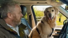 Capture-décran-2026-01-30-153709-236x132