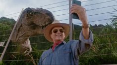 Capture-décran-2026-02-11-094318-236x132