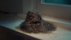 Capture-décran-2026-02-11-153808-236x132