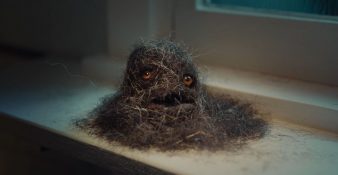 Capture-décran-2026-02-11-153808-338x175