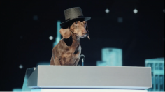 Capture-décran-2026-02-13-162109-236x132