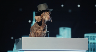 Capture-décran-2026-02-13-162109-321x175