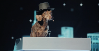 Capture-décran-2026-02-13-162109-338x175