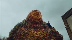 Capture-décran-2026-04-28-153119-236x132